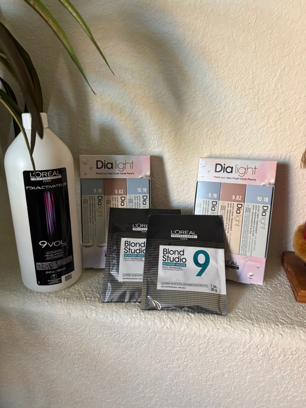 L'Oreal Dia Light & Blonde studio lightener w Developer.
